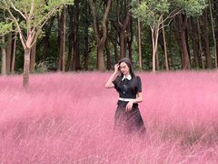 -昆山城市生态森林公园