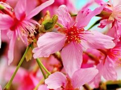 -龟山风景区-龟山电视塔