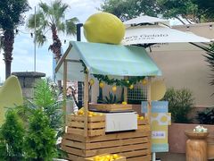 -苏小糖(鼓浪屿三丘田花园店)