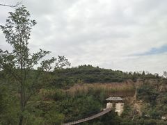 -五龙城郊森林公园