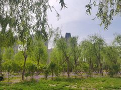 -东坝千亩湖公园