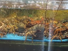-阿伟海鲜楼·福建菜(延寿店)