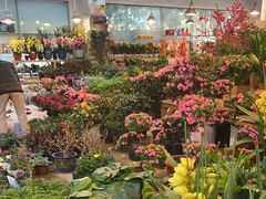 -双季花艺园艺市场(浦东店)