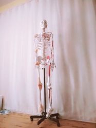 -FineYoga梵音瑜伽·普拉提