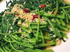 生煎茼蒿-禾珍珠家常小馆(河南博物院店)