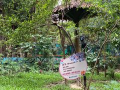 -广州长隆野生动物世界