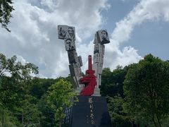 -阳台山森林公园