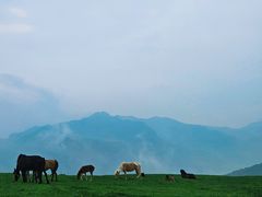 -灵山