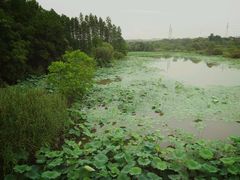 -东湖落雁景区