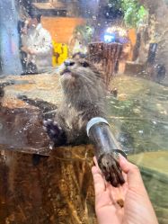 -Zoolung Zoolung动物主题公园(海信广场店)