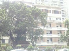 医院主楼-广州市正骨医院