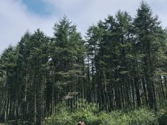 -石棉县孟获城