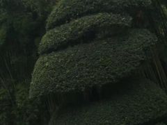 -苏州河梦清园环保主题公园