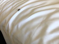 -三亚御海棠豪华精选度假酒店