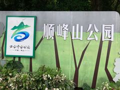 -顺峰山公园