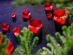 -和枫(众意路店)