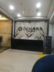 -DEM缔怡美科技美容