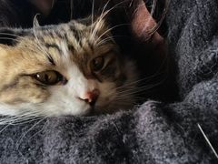 -五月木作·DIY木作文创体验店(北京路店)