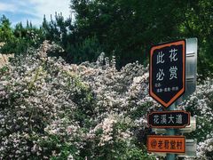 -老君堂公园
