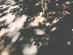 -Carmen卡门西班牙餐厅