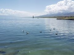 -青海湖国家重点风景名胜区