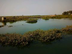 -北海金海湾红树林生态旅游区