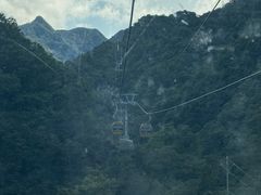 -栾川竹海野生动物园