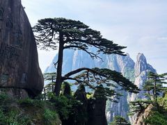 -黄山风景区