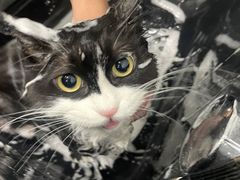 -萌小它宠物健康管理中心(怡海家园店)