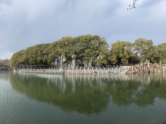 -白马涧龙池景区