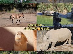 -杭州野生动物世界