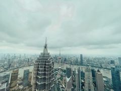 -上海柏悦酒店