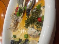 -陶缘一号·四季缘·老字号顺德菜·户外婚礼家宴(西滘店)