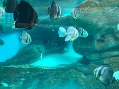 -波塞冬旅游度假区