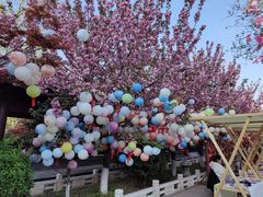 -祥源·阜阳生态乐园