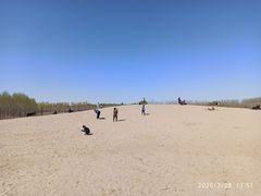 -东郊湿地公园
