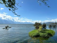-野菌皇海景野生菌火锅(滨海大道店)