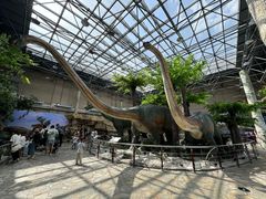 -国家自然博物馆