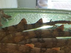 -悦林汤馆(观海店)