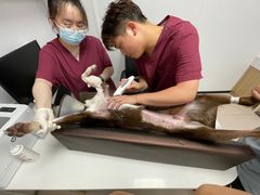 -艾贝尔宠物医院 ·中兽医·宠保定点(北门桥店)