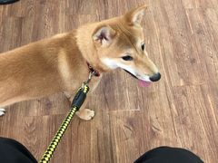 -荔康动物医院(康王北路店)