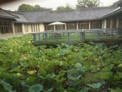 -绍兴鉴湖君澜大酒店