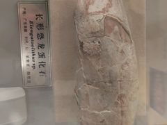 -中国地质大学逸夫博物馆