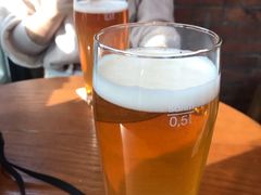 -Boxing Cat Brewery拳击猫精酿啤酒馆(永福店)
