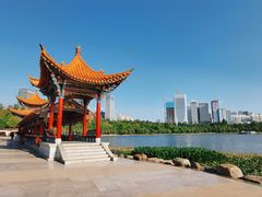 景点-洛龙公园