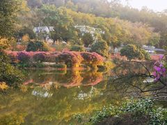 -南国桃园旅游度假区