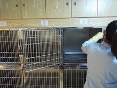 -瑞派·关忠动物医院·猫专科·犬专科(三环新城店)