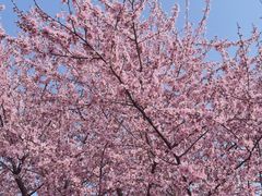-白塘生态植物园