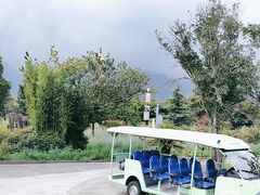 -崇圣寺三塔文化旅游区