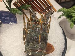 -海月轩海鲜豆捞(紫金塔店)